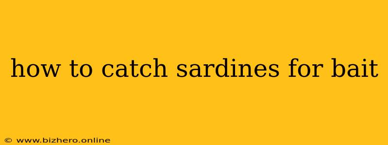 how to catch sardines for bait